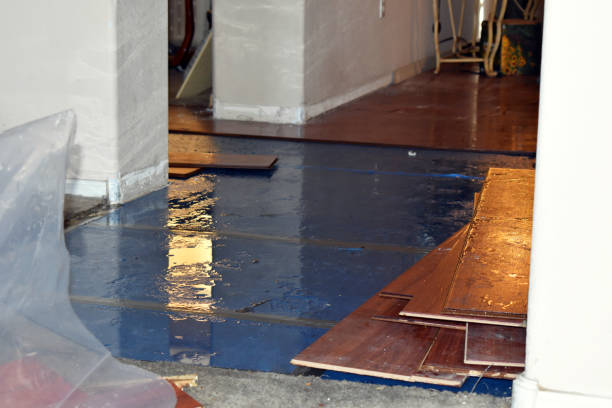 Professional Burst Pipe Cleanup technician working in Three Rivers, MA