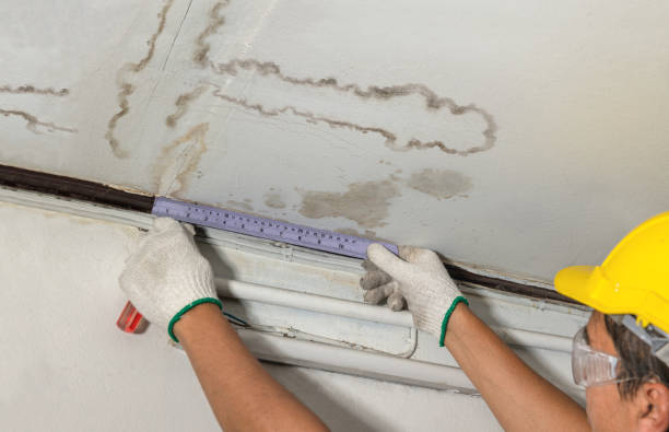 Reliable Burst Pipe Cleanup contractor in Three Rivers, MA by Water Damage Irwin